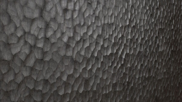 Dune